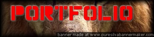 Portfolio home Banner
